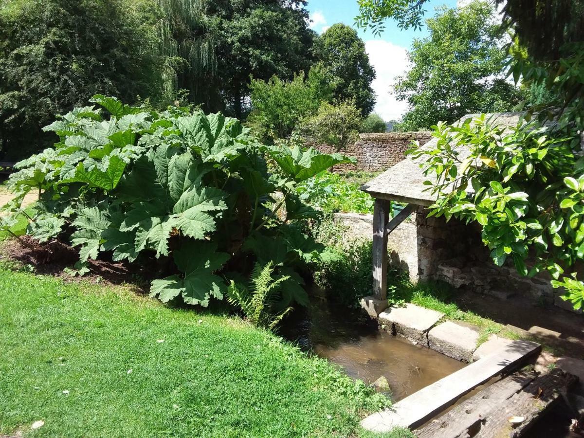 L'Orchidee Villa Lassay-les-Chateaux Bagian luar foto