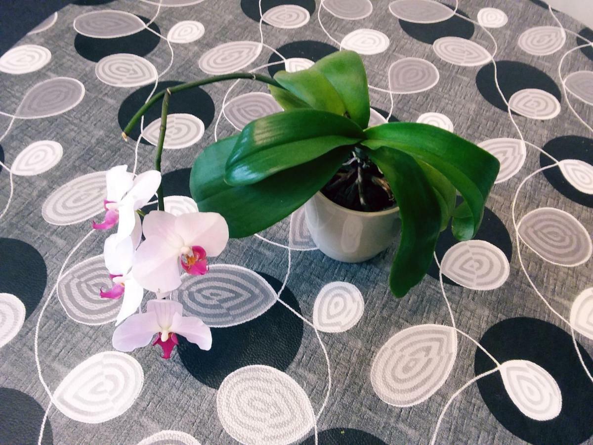 L'Orchidee Villa Lassay-les-Chateaux Bagian luar foto